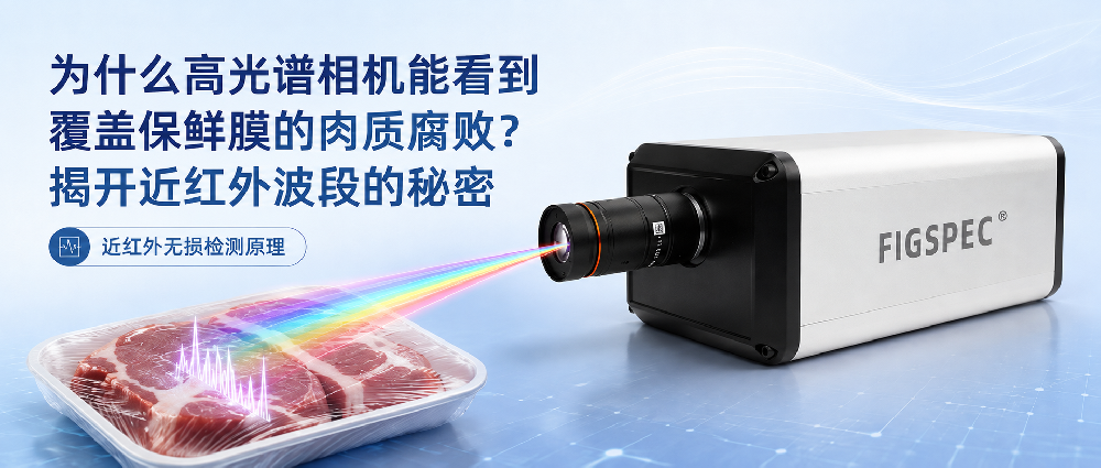 为什么高光谱相机能看到覆盖保鲜膜的肉质腐败？揭开近红外波段的秘密
