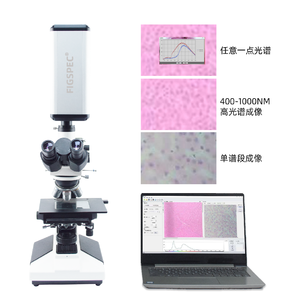 彩谱显微高光谱成像系统.png