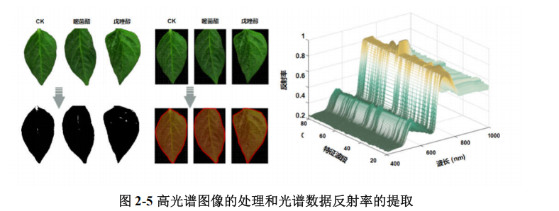 1765269921190735.png 图片3.png