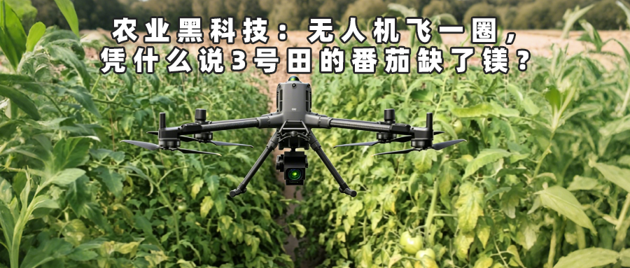 农业黑科技：无人机飞一圈，凭什么说3号田的番茄缺了镁？