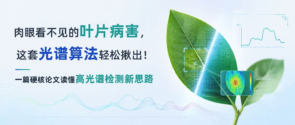 肉眼看不见的叶片病害，这套光谱算法轻松揪出！一篇硬核论文读懂高光谱检测新思路