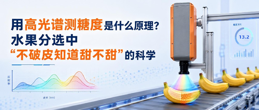 用高光谱测糖度是什么原理？水果分选中 “不破皮知道甜不甜”的科学