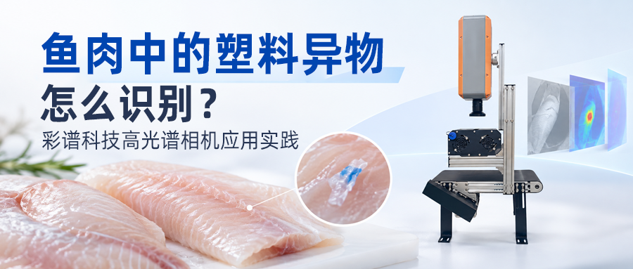 鱼肉中的塑料异物怎么识别？彩谱科技高光谱相机应用实践