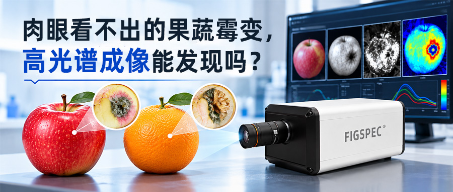 肉眼看不出的果蔬霉变，高光谱成像能发现吗？